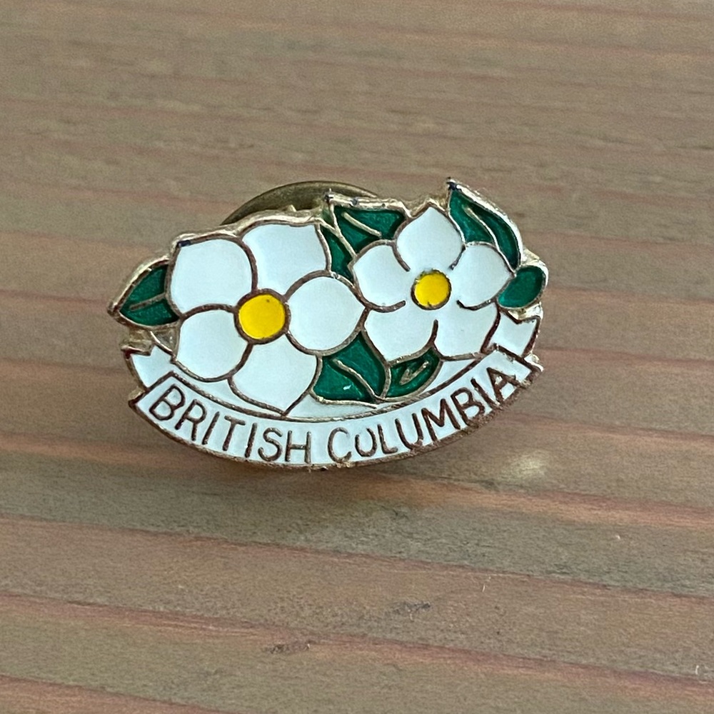 Vintage BC cloisonné pin